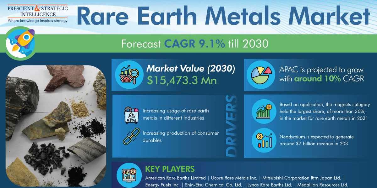 Unearthing Opportunities: Insights into the Rare Earth Metals Market