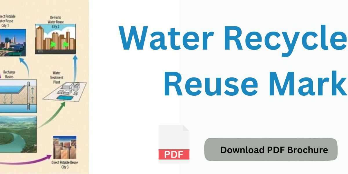 Regional Resilience: Examining Growth Patterns in the Water Recycle and Reuse Market