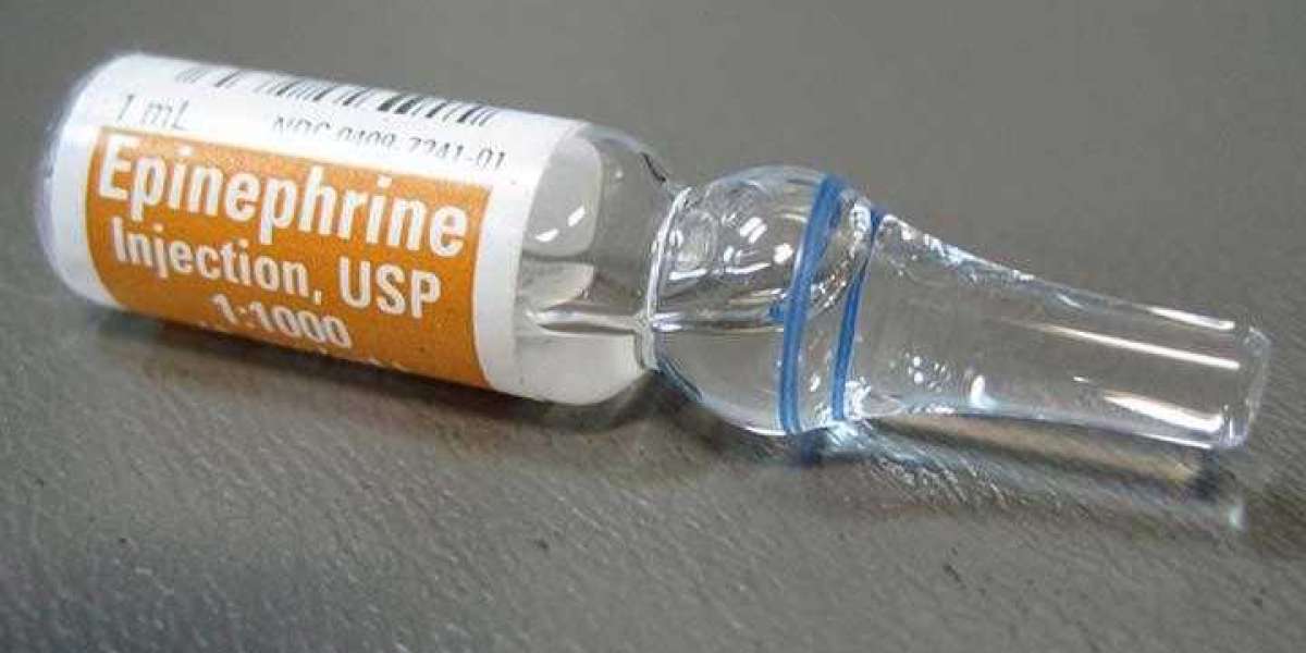 Epinephrine Market Size, Share, Growth and Forecast Report till 2031