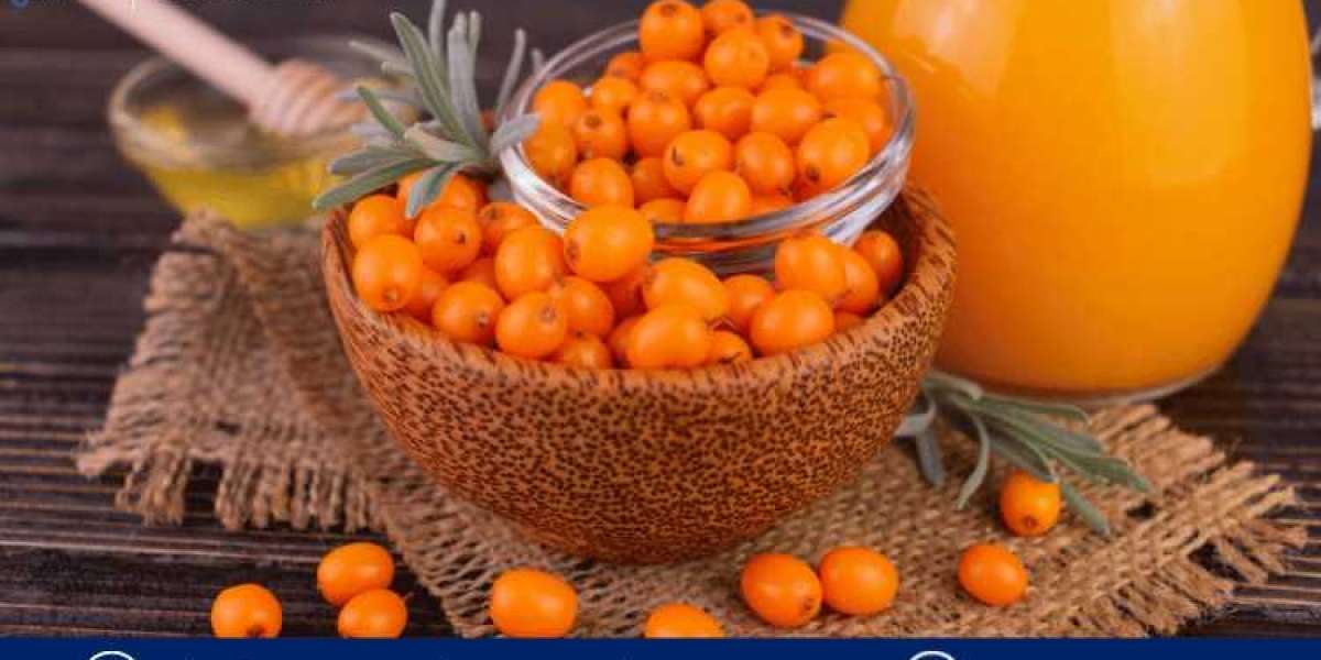 Sea Buckthorn Market Forecast 2024-2032: Growth Trends, Applications and Key Players