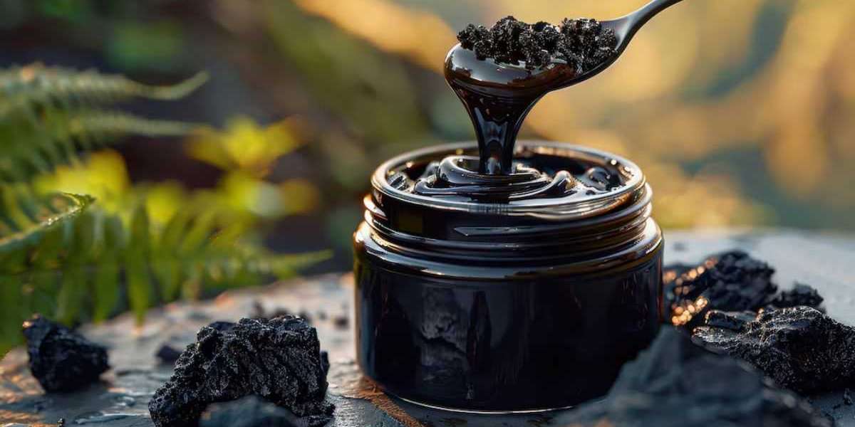 Experience the Benefits of Himalayan Shilajit Today