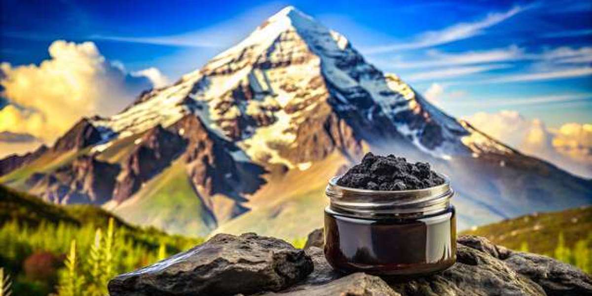 Why Shilajit Resin is Essential for Your Health Regimen?