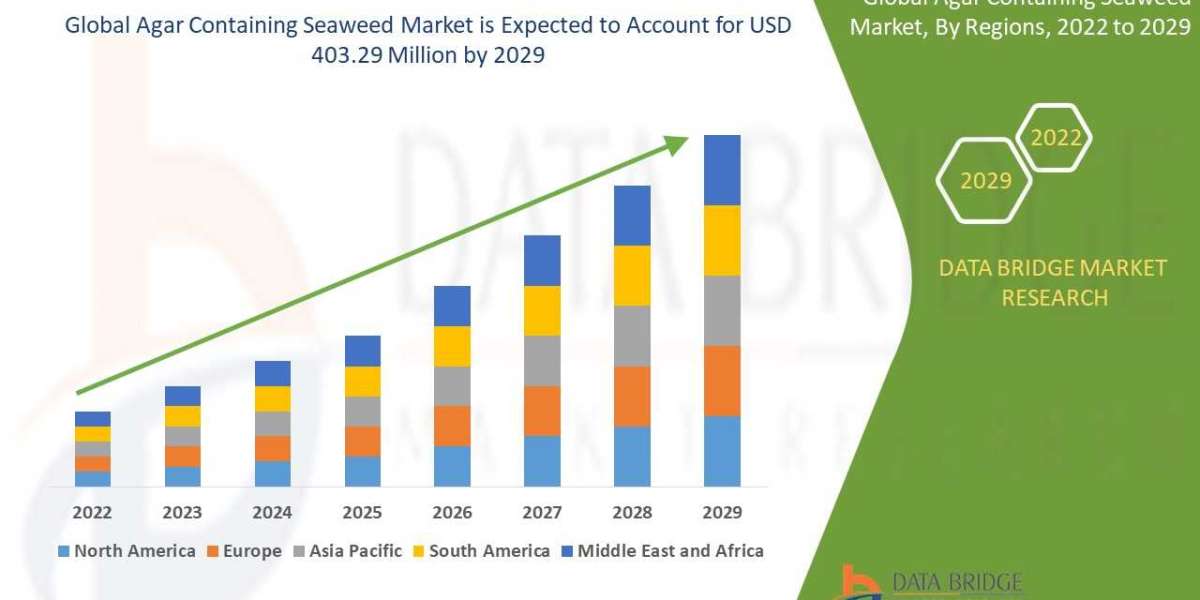 Agar Containing Seaweed Market Size, Share, Trends, Growth Opportunities and Competitive Outlook