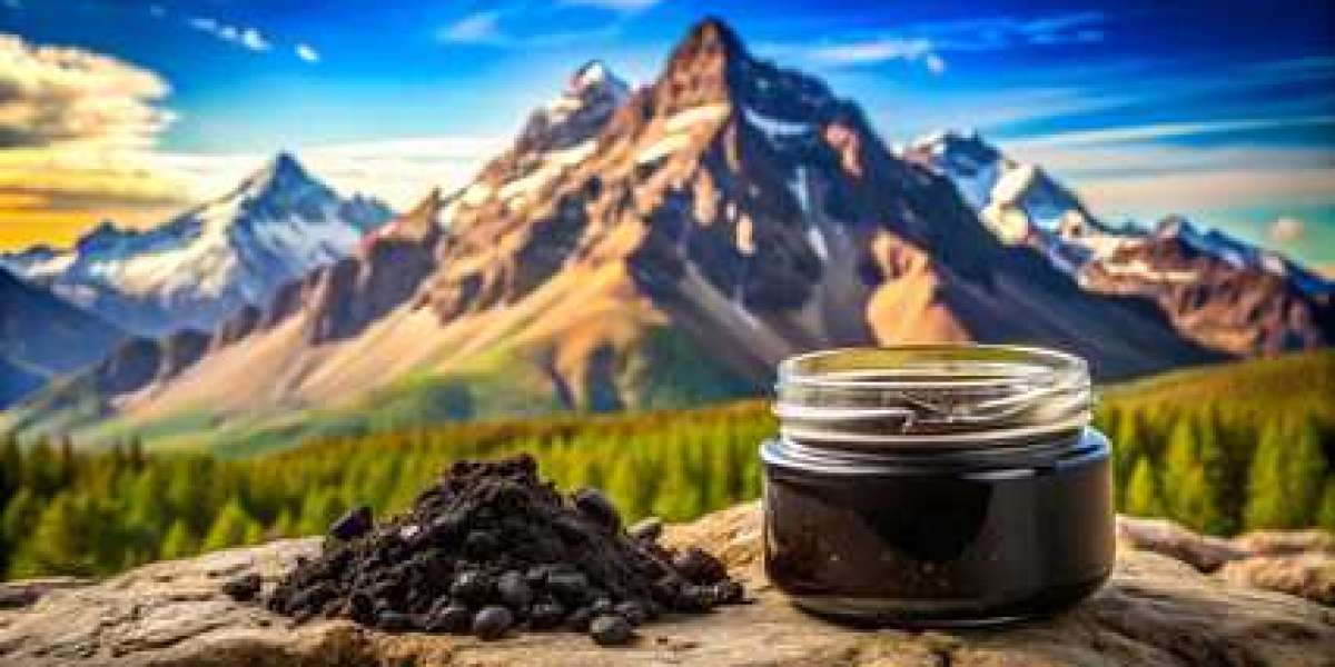 Unlock the Power of Himalayan Shilajit: Nature's Vitality Booster