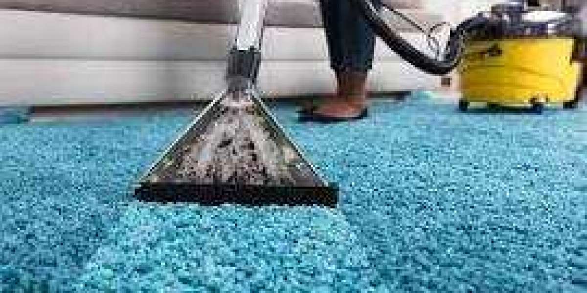 Improve Home Air Quality with Professional Carpet Cleaning