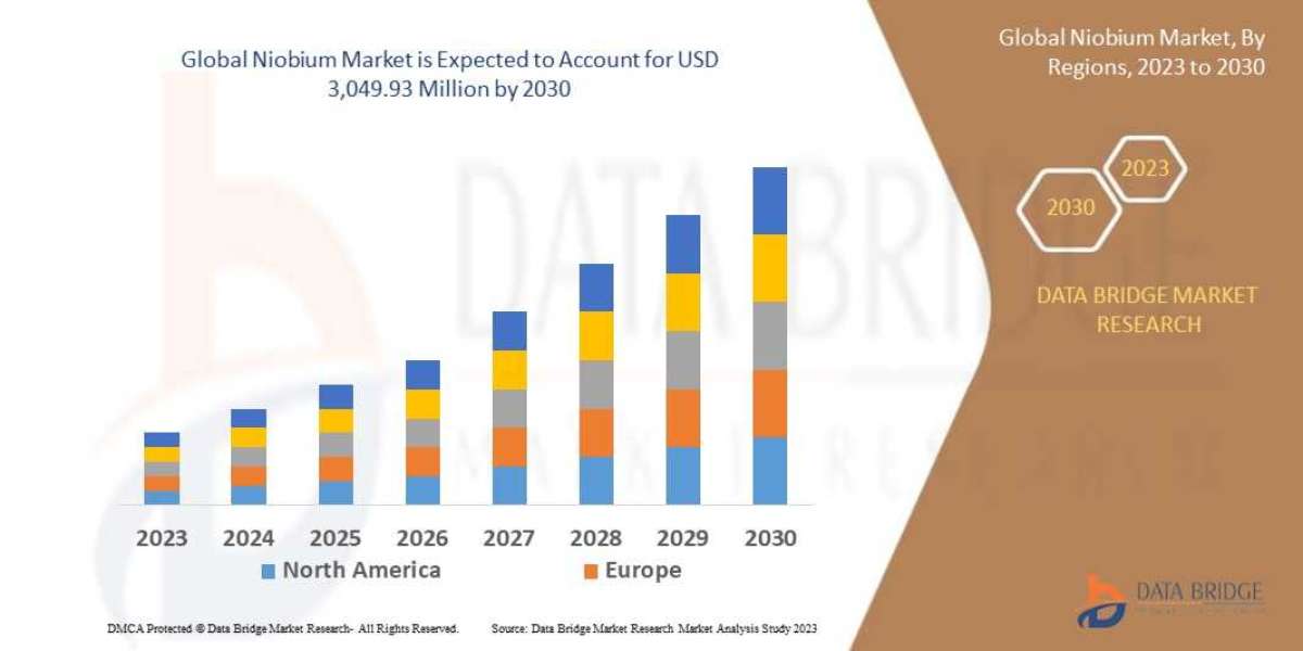 Niobium  Market Size, Share, Trends, Growth and Competitor Analysis