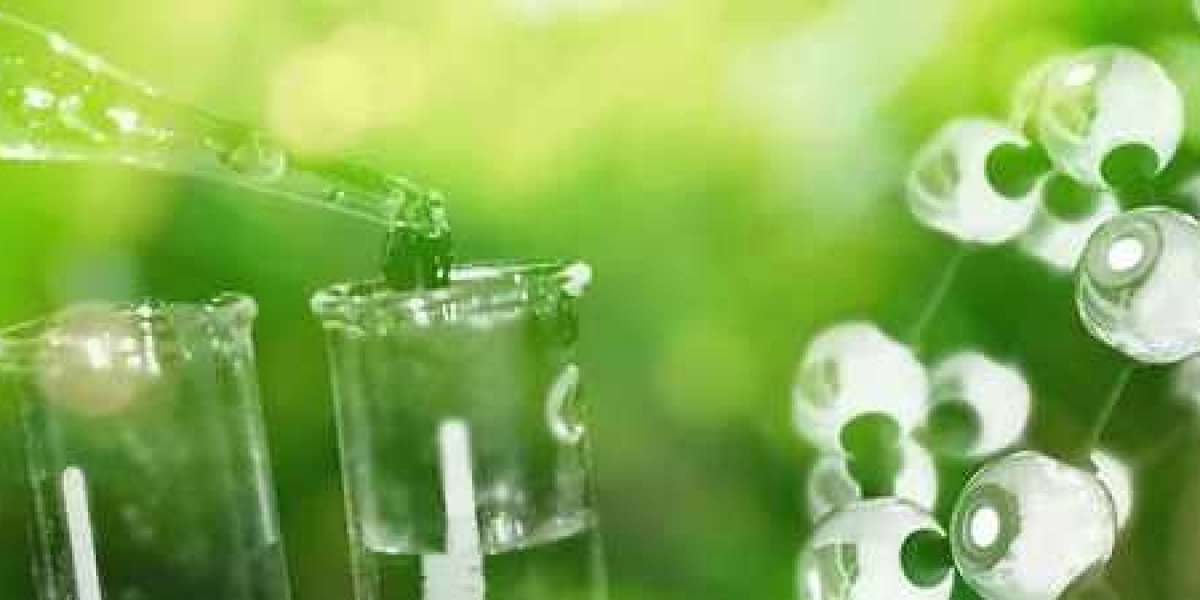 Green Ammonia Market Research Trends Analysis by 2024- 2033