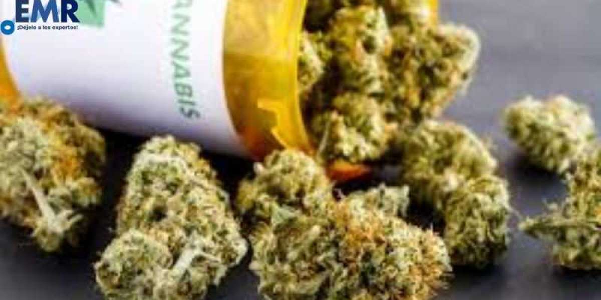 Crecimiento del Mercado Latinoamericano de Cannabis Medicinal