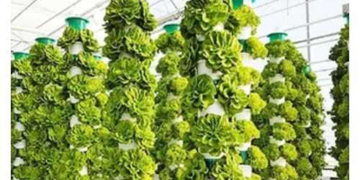 Vertical Farming Market Analysis, Type, Size, Trends, Key Players and Forecast 2024 to  2035